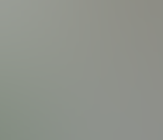 Thumbnail image for video. Image of a Cape May Warbler in a tree.